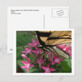 バタフ食べ物を与えロ葉書 ポストカード (正面/裏面)