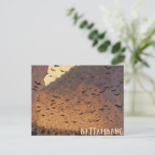 バタンバンこうもりケーブハガキ ポストカード (スタンド正面)