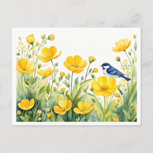 バターカップのブルーバード ポストカード (正面)