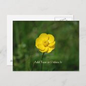 バターカップはがき ポストカード (正面/裏面)