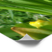 バターカップイエローダッフルズポスター ポスター (角)