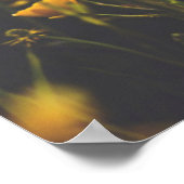 バターカップサンダウン ポスター (角)