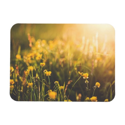 バターカップサンダウン マグネット (横)