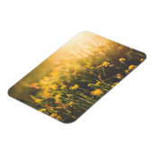 バターカップサンダウン マグネット (左側)