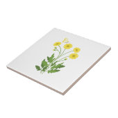 バターカップバタフライ タイル (側面)