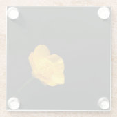 バターカップフラワーの円錐花序 ガラスコースター (裏面)