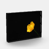 バターカップフラワーパクナ フォトブロック (左)