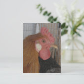 バターカップルースター ポストカード (スタンド正面)