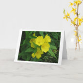 バターカップ カード (黄色い花)