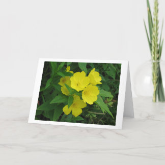 バターカップ カード