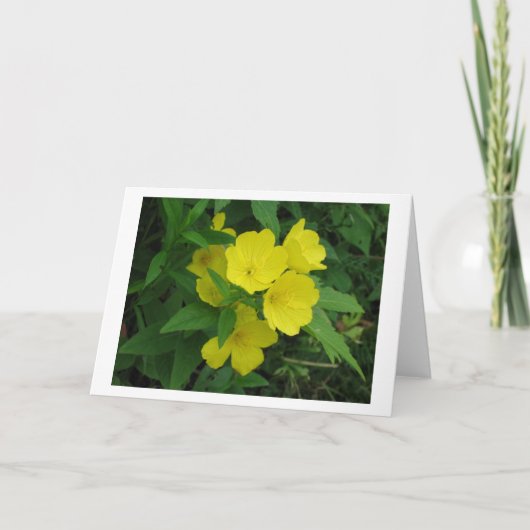 バターカップ カード (正面)