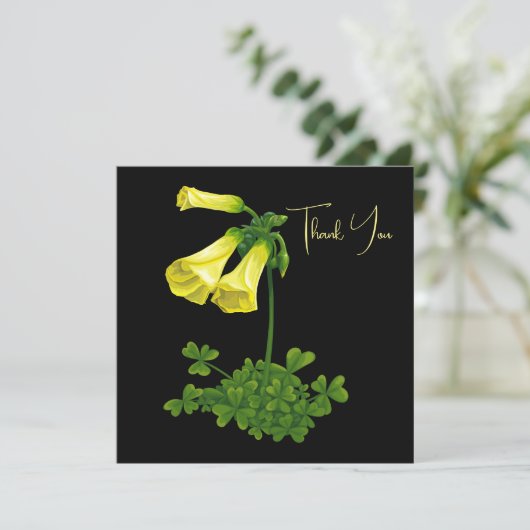 バターカップ カード (スタンド正面)