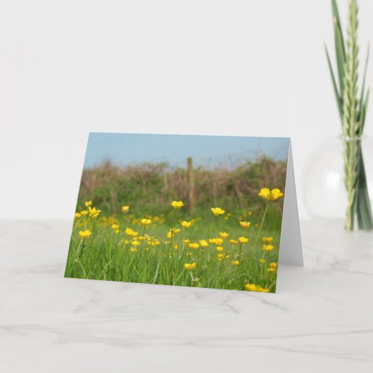 バターカップ カード (正面)