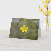 バターカップ カード (黄色い花)