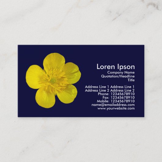 バターカップ – ネイビーブルー 名刺 (正面)
