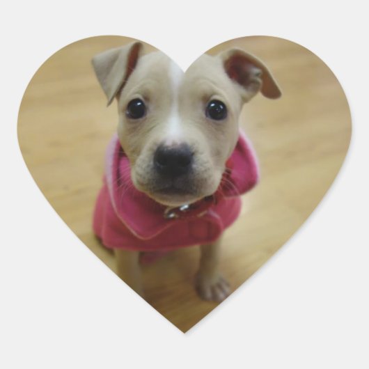 バターカップ ハートシール (正面)