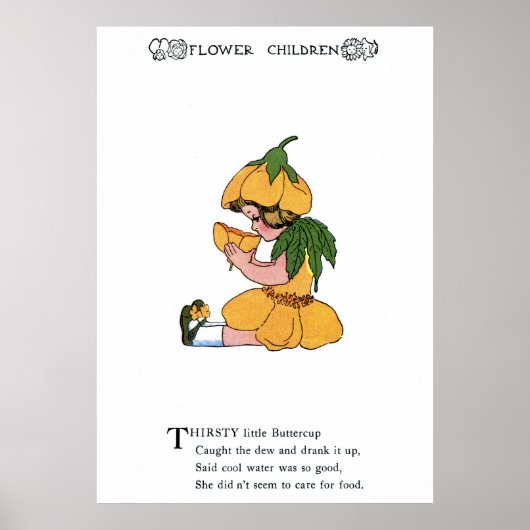 バターカップ ポスター (正面)