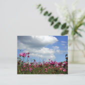 バターカップ ポストカード (スタンド正面)