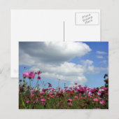 バターカップ ポストカード (正面/裏面)