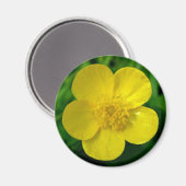 バターカップ マグネット (正面/裏面)