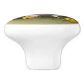 バターカップ・モルモット セラミックノブ (側面)