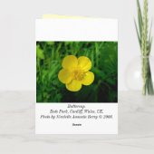 バターカップ – 誕生日 カード (裏面)