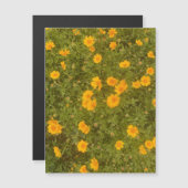 バターデイジーガーデンマグネット (正面/裏面)