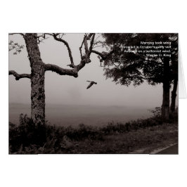 バターナットの風で空輸