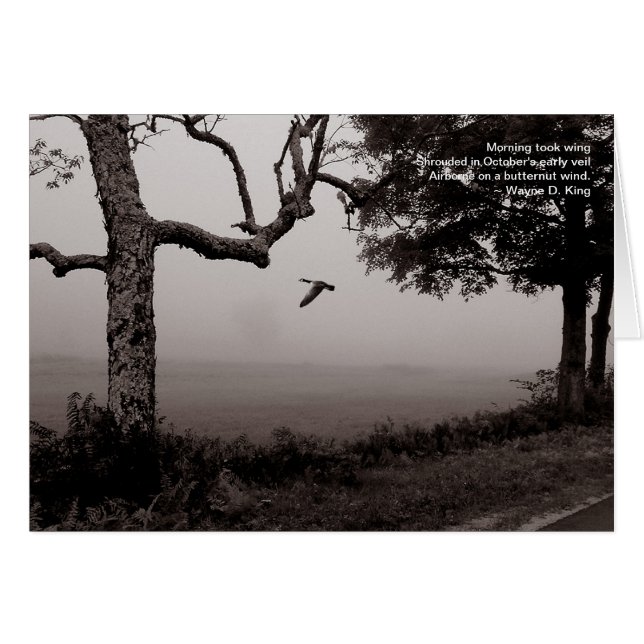 バターナットの風で空輸 (正面横)