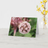 バターバー カード (黄色い花)