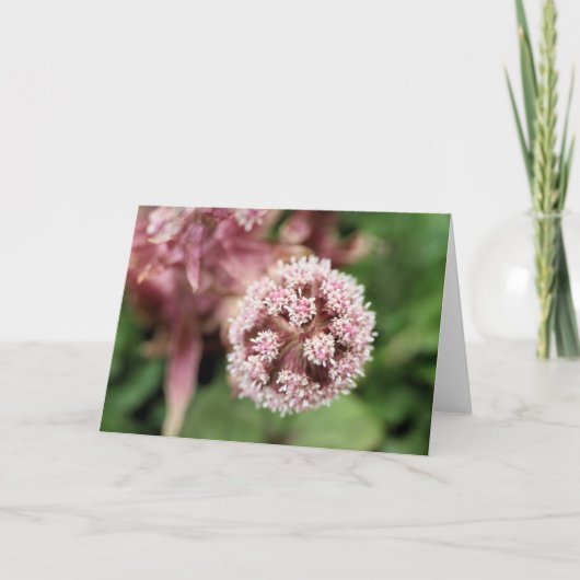 バターバー カード (正面)