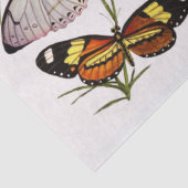 バタービクトリアンティッシュペーパー 薄葉紙 (詳細)