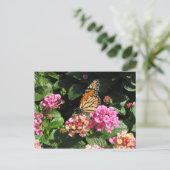 バターフラワーポストカード ポストカード (スタンド正面)