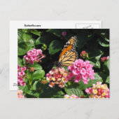 バターフラワーポストカード ポストカード (正面/裏面)