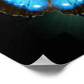 バターフリスの旅のポスター ポスター (角)