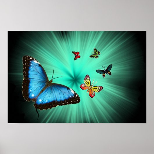 バターフリスの旅のポスター ポスター (正面)