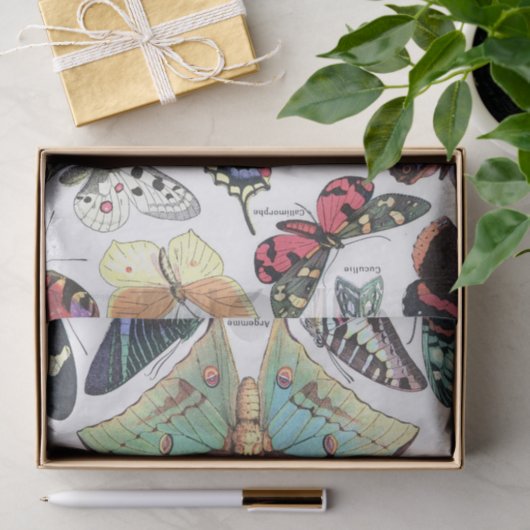 バターフリスの種類の蛾のチャートのデコページ 薄葉紙 (ギフト)