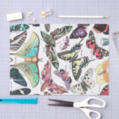 バターフリスの種類の蛾のチャートのデコページ 薄葉紙 (クラフト)