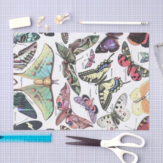 バターフリスの種類の蛾のチャートのデコページ 薄葉紙 (クラフト)