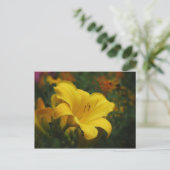 バターポップコーンガーデン – デイリリー ポストカード (スタンド正面)