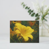 バターポップコーンガーデン – デイリリー ポストカード (スタンド正面)