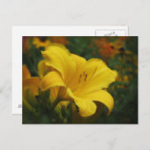 バターポップコーンガーデン – デイリリー ポストカード (正面/裏面)