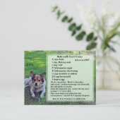 バターミルクフルーツスコーンズレシピはがき ポストカード (スタンド正面)