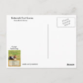 バターミルクフルーツスコーンズレシピはがき ポストカード (裏面)