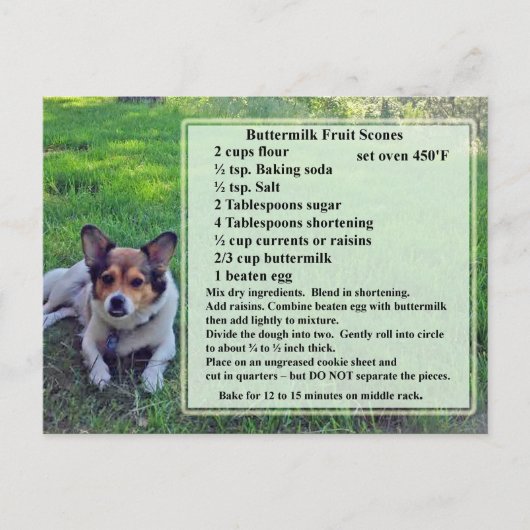 バターミルクフルーツスコーンズレシピはがき ポストカード (正面)