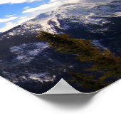 バターミルク、《植物》アスペン、CO ポスター (角)