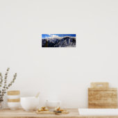 バターミルク、《植物》アスペン、CO ポスター (キッチン)