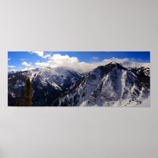 バターミルク、《植物》アスペン、CO ポスター (正面)