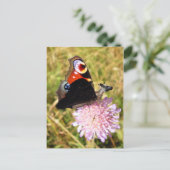 バタームース ポストカード (スタンド正面)