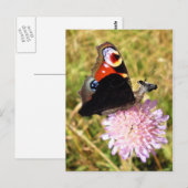 バタームース ポストカード (正面/裏面)